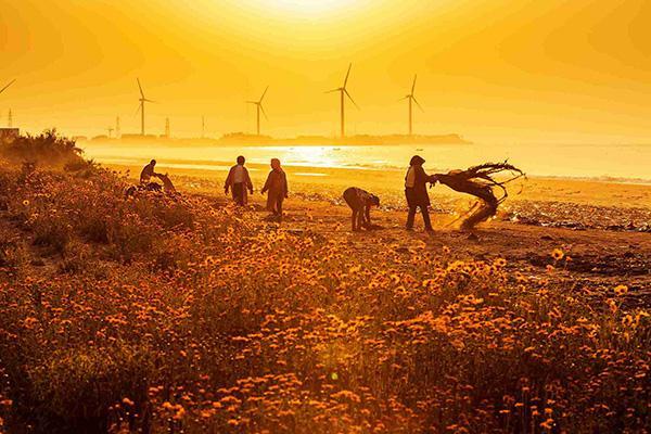 鄉(xiāng)村振興產業(yè)規(guī)劃